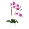 Ligne Déco Plantes D'intérieur Et Fleurs D'intérieur Plante Fleur Artificielle Orchidée Toucher Naturel, H.55cm -Parasols Soldes Magasin plante fleur artificielle orchidee toucher naturel h 55cm 17