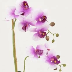 Ligne Déco Plantes D'intérieur Et Fleurs D'intérieur Plante Fleur Artificielle Orchidée Toucher Naturel, H.55cm 9 Ligne Déco Plantes D'intérieur Et Fleurs D'intérieur Plante Fleur Artificielle Orchidée Toucher Naturel, H.55cm -Parasols Soldes Magasin plante fleur artificielle orchidee toucher naturel h 55cm 19