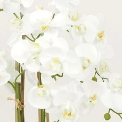 Ligne Déco Plantes D'intérieur Et Fleurs D'intérieur Plante Fleur Artificielle Orchidée Toucher Naturel, H.55cm -Parasols Soldes Magasin plante fleur artificielle orchidee toucher naturel h 55cm 2