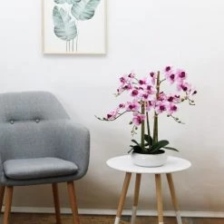 Ligne Déco Plantes D'intérieur Et Fleurs D'intérieur Plante Fleur Artificielle Orchidée Toucher Naturel, H.55cm -Parasols Soldes Magasin plante fleur artificielle orchidee toucher naturel h 55cm 25