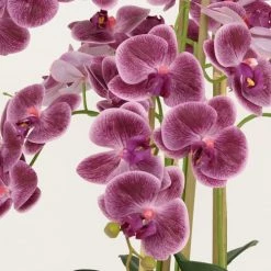 Ligne Déco Plantes D'intérieur Et Fleurs D'intérieur Plante Fleur Artificielle Orchidée Toucher Naturel, H.55cm -Parasols Soldes Magasin plante fleur artificielle orchidee toucher naturel h 55cm 7