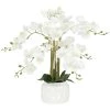 Ligne Déco Plantes D'intérieur Et Fleurs D'intérieur Plante Fleur Artificielle Orchidée Toucher Naturel, H.55cm -Parasols Soldes Magasin plante fleur artificielle orchidee toucher naturel h 55cm 9