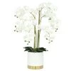 Ligne Déco Plantes D'intérieur Et Fleurs D'intérieur Plante Fleur Artificielle Orchidée Toucher Naturel, H.80cm -Parasols Soldes Magasin plante fleur artificielle orchidee toucher naturel h 80cm