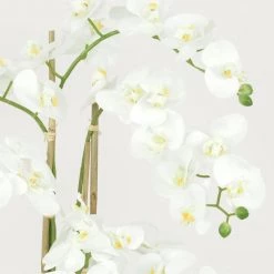 Ligne Déco Plantes D'intérieur Et Fleurs D'intérieur Plante Fleur Artificielle Orchidée Toucher Naturel, H.80cm -Parasols Soldes Magasin plante fleur artificielle orchidee toucher naturel h 80cm 11