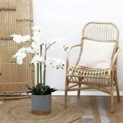 Ligne Déco Plantes D'intérieur Et Fleurs D'intérieur Plante Fleur Artificielle Orchidée Toucher Naturel, H.80cm -Parasols Soldes Magasin plante fleur artificielle orchidee toucher naturel h 80cm 13