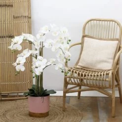 Ligne Déco Plantes D'intérieur Et Fleurs D'intérieur Plante Fleur Artificielle Orchidée Toucher Naturel, H.80cm -Parasols Soldes Magasin plante fleur artificielle orchidee toucher naturel h 80cm 19