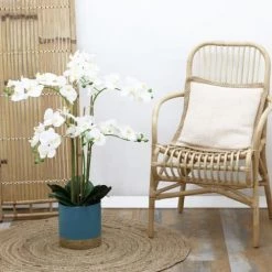 Ligne Déco Plantes D'intérieur Et Fleurs D'intérieur Plante Fleur Artificielle Orchidée Toucher Naturel, H.80cm -Parasols Soldes Magasin plante fleur artificielle orchidee toucher naturel h 80cm 25