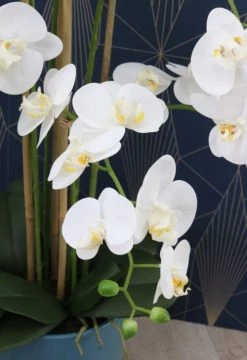 Ligne Déco Plantes D'intérieur Et Fleurs D'intérieur Plante Fleur Artificielle Orchidée Toucher Naturel, H.80cm -Parasols Soldes Magasin plante fleur artificielle orchidee toucher naturel h 80cm 26