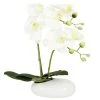 Ligne Déco Plantes D'intérieur Et Fleurs D'intérieur Plante Fleur Artificielle Orchidée Toucher Naturel, H35cm -Parasols Soldes Magasin plante fleur artificielle orchidee toucher naturel h35cm