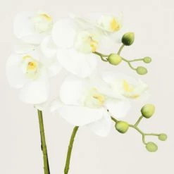 Ligne Déco Plantes D'intérieur Et Fleurs D'intérieur Plante Fleur Artificielle Orchidée Toucher Naturel, H35cm -Parasols Soldes Magasin plante fleur artificielle orchidee toucher naturel h35cm 2