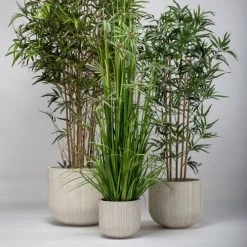 Now’s Home Plantes D'intérieur Et Fleurs D'intérieur Plante Graminée Artificielle H150 -Parasols Soldes Magasin plante graminee artificielle h150 2