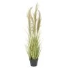 Ligne Déco Plantes D'intérieur Et Fleurs D'intérieur Plante Herbe Verte Artificielle Plumeaux Naturels Pampa 110cm -Parasols Soldes Magasin plante herbe verte artificielle plumeaux naturels pampa 110cm