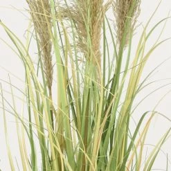 Ligne Déco Plantes D'intérieur Et Fleurs D'intérieur Plante Herbe Verte Artificielle Plumeaux Naturels Pampa 110cm -Parasols Soldes Magasin plante herbe verte artificielle plumeaux naturels pampa 110cm 3
