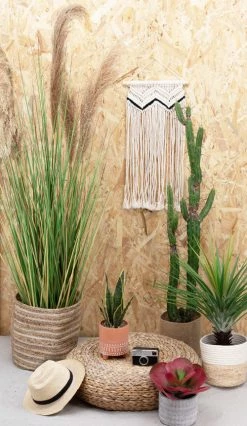 Ligne Déco Plantes D'intérieur Et Fleurs D'intérieur Plante Herbe Verte Artificielle Plumeaux Naturels Pampa 150cm -Parasols Soldes Magasin plante herbe verte artificielle plumeaux naturels pampa 150cm 4