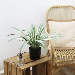 Ligne Déco Plantes D'intérieur Et Fleurs D'intérieur Plante Verte Artificielle Agave Toucher Naturel, H.45cm -Parasols Soldes Magasin plante verte artificielle agave toucher naturel h 45cm 3