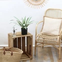 Ligne Déco Plantes D'intérieur Et Fleurs D'intérieur Plante Verte Artificielle Agave Toucher Naturel, H.45cm -Parasols Soldes Magasin plante verte artificielle agave toucher naturel h 45cm 4