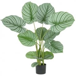 Ligne Déco Plantes D'intérieur Et Fleurs D'intérieur Plante Verte Artificielle Calatheas, Toucher Naturel, H.100cm