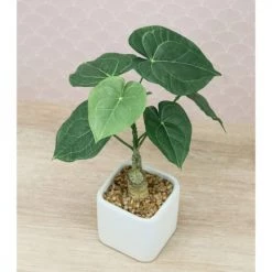 Ligne Déco Plantes D'intérieur Et Fleurs D'intérieur Plante Verte Artificielle De Bureau Philos, H.25cm -Parasols Soldes Magasin plante verte artificielle de bureau philos h 25cm 2