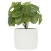 Ligne Déco Plantes D'intérieur Et Fleurs D'intérieur Plante Verte Artificielle De Bureau Pilea, Pot Ciment, H.25cm -Parasols Soldes Magasin plante verte artificielle de bureau pilea pot ciment h 25cm