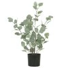 Ligne Déco Plantes D'intérieur Et Fleurs D'intérieur Plante Verte Artificielle Eucalyptus Effet Blanchi, H.60cm -Parasols Soldes Magasin plante verte artificielle eucalyptus effet blanchi h 60cm
