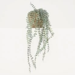 Ligne Déco Plantes D'intérieur Et Fleurs D'intérieur Plante Verte Artificielle Fausse Chute De Ceropegia, H.70cm -Parasols Soldes Magasin plante verte artificielle fausse chute de ceropegia h 70cm 2