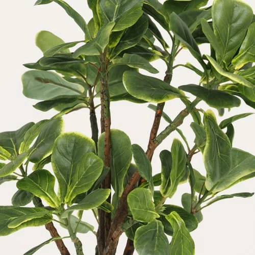 Ligne Déco Plantes D'intérieur Et Fleurs D'intérieur Plante Verte Artificielle Ficus, Pot Céramique, H.55cm 5 Ligne Déco Plantes D'intérieur Et Fleurs D'intérieur Plante Verte Artificielle Ficus, Pot Céramique, H.55cm – Image 3