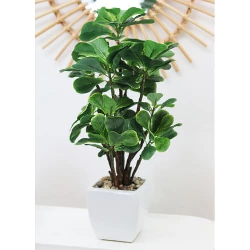 Ligne Déco Plantes D'intérieur Et Fleurs D'intérieur Plante Verte Artificielle Ficus, Pot Céramique, H.55cm 6 Ligne Déco Plantes D'intérieur Et Fleurs D'intérieur Plante Verte Artificielle Ficus, Pot Céramique, H.55cm – Image 4