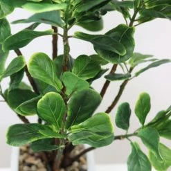 Ligne Déco Plantes D'intérieur Et Fleurs D'intérieur Plante Verte Artificielle Ficus, Pot Céramique, H.55cm 11 Ligne Déco Plantes D'intérieur Et Fleurs D'intérieur Plante Verte Artificielle Ficus, Pot Céramique, H.55cm -Parasols Soldes Magasin plante verte artificielle ficus pot ceramique h 55cm 4