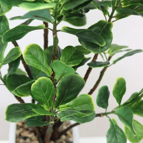 Ligne Déco Plantes D'intérieur Et Fleurs D'intérieur Plante Verte Artificielle Ficus, Pot Céramique, H.55cm 7 Ligne Déco Plantes D'intérieur Et Fleurs D'intérieur Plante Verte Artificielle Ficus, Pot Céramique, H.55cm – Image 5
