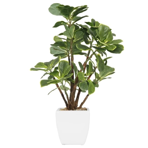 Ligne Déco Plantes D'intérieur Et Fleurs D'intérieur Plante Verte Artificielle Ficus, Pot Céramique, H.55cm 3 Ligne Déco Plantes D'intérieur Et Fleurs D'intérieur Plante Verte Artificielle Ficus, Pot Céramique, H.55cm