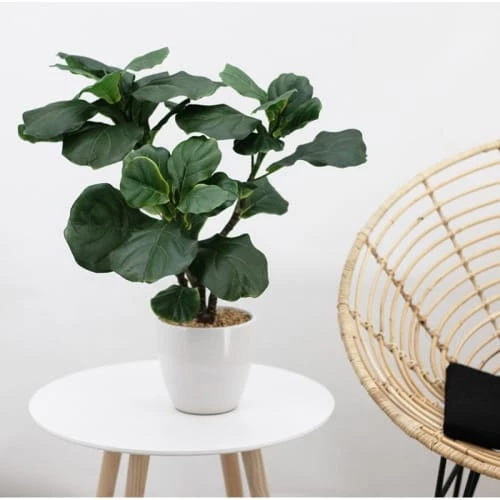 Ligne Déco Plantes D'intérieur Et Fleurs D'intérieur Plante Verte Artificielle Ficus, Pot Céramique, H.65cm 4 Ligne Déco Plantes D'intérieur Et Fleurs D'intérieur Plante Verte Artificielle Ficus, Pot Céramique, H.65cm – Image 2