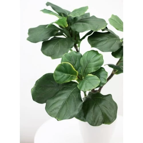 Ligne Déco Plantes D'intérieur Et Fleurs D'intérieur Plante Verte Artificielle Ficus, Pot Céramique, H.65cm 5 Ligne Déco Plantes D'intérieur Et Fleurs D'intérieur Plante Verte Artificielle Ficus, Pot Céramique, H.65cm – Image 3