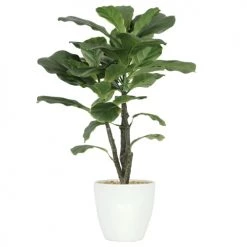 Ligne Déco Plantes D'intérieur Et Fleurs D'intérieur Plante Verte Artificielle Ficus, Pot Céramique, H.65cm