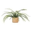 Ligne Déco Plantes D'intérieur Et Fleurs D'intérieur Plante Verte Artificielle Fougère Pot Effet Cannage, H.40cm - PRIYA -Parasols Soldes Magasin plante verte artificielle fougere pot effet cannage h 40cm priya