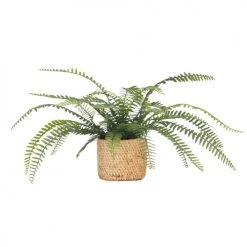 Ligne Déco Plantes D'intérieur Et Fleurs D'intérieur Plante Verte Artificielle Fougère Pot Effet Cannage, H.40cm - PRIYA
