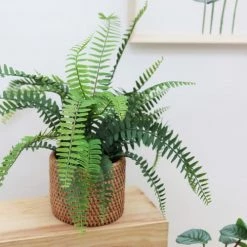 Ligne Déco Plantes D'intérieur Et Fleurs D'intérieur Plante Verte Artificielle Fougère Pot Effet Cannage, H.40cm - PRIYA -Parasols Soldes Magasin plante verte artificielle fougere pot effet cannage h 40cm priya 3