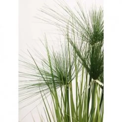Ligne Déco Plantes D'intérieur Et Fleurs D'intérieur Plante Verte Artificielle Graminée Herbe Papyrus, H.100cm -Parasols Soldes Magasin plante verte artificielle graminee herbe papyrus h 100cm 3