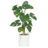 Ligne Déco Plantes D'intérieur Et Fleurs D'intérieur Plante Verte Artificielle Monstera, Pot Céramique, H.50cm -Parasols Soldes Magasin plante verte artificielle monstera pot ceramique h 50cm