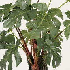 Ligne Déco Plantes D'intérieur Et Fleurs D'intérieur Plante Verte Artificielle Monstera, Pot Céramique, H.55cm -Parasols Soldes Magasin plante verte artificielle monstera pot ceramique h 55cm 2