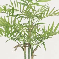 Ligne Déco Plantes D'intérieur Et Fleurs D'intérieur Plante Verte Artificielle Palmier Areca 17 Palmes En Pot H80cm 7 Ligne Déco Plantes D'intérieur Et Fleurs D'intérieur Plante Verte Artificielle Palmier Areca 17 Palmes En Pot H80cm -Parasols Soldes Magasin plante verte artificielle palmier areca 17 palmes en pot h80cm 2