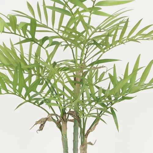 Ligne Déco Plantes D'intérieur Et Fleurs D'intérieur Plante Verte Artificielle Palmier Areca 17 Palmes En Pot H80cm 5 Ligne Déco Plantes D'intérieur Et Fleurs D'intérieur Plante Verte Artificielle Palmier Areca 17 Palmes En Pot H80cm – Image 3