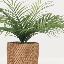 Ligne Déco Plantes D'intérieur Et Fleurs D'intérieur Plante Verte Artificielle Palmier Pot Effet Cannage H.40cm -Parasols Soldes Magasin plante verte artificielle palmier pot effet cannage h 40cm 2