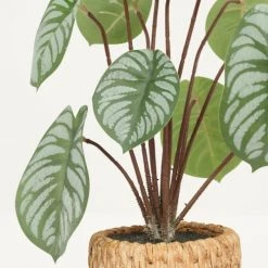 Ligne Déco Plantes D'intérieur Et Fleurs D'intérieur Plante Verte Artificielle Peperomia Pot Effet Cannage H.30cm - PERONIA -Parasols Soldes Magasin plante verte artificielle peperomia pot effet cannage h 30cm peronia 2
