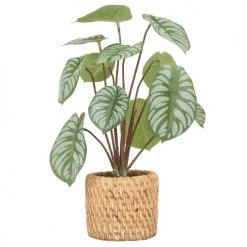 Ligne Déco Plantes D'intérieur Et Fleurs D'intérieur Plante Verte Artificielle Peperomia Pot Effet Cannage H.30cm - PERONIA