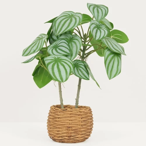 Ligne Déco Plantes D'intérieur Et Fleurs D'intérieur Plante Verte Artificielle Peperomia Pot Effet Cannage H.40cm 4 Ligne Déco Plantes D'intérieur Et Fleurs D'intérieur Plante Verte Artificielle Peperomia Pot Effet Cannage H.40cm – Image 2