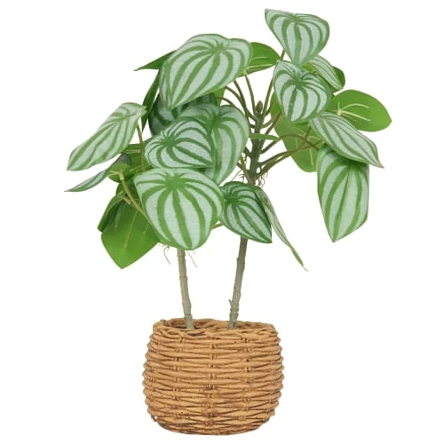 Ligne Déco Plantes D'intérieur Et Fleurs D'intérieur Plante Verte Artificielle Peperomia Pot Effet Cannage H.40cm 3 Ligne Déco Plantes D'intérieur Et Fleurs D'intérieur Plante Verte Artificielle Peperomia Pot Effet Cannage H.40cm