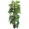 Ligne Déco Plantes D'intérieur Et Fleurs D'intérieur Plante Verte Artificielle Philos, Toucher Naturel, H.180cm -Parasols Soldes Magasin plante verte artificielle philos toucher naturel h 180cm