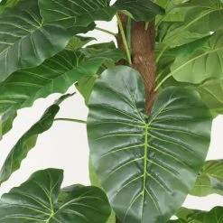 Ligne Déco Plantes D'intérieur Et Fleurs D'intérieur Plante Verte Artificielle Philos, Toucher Naturel, H.180cm -Parasols Soldes Magasin plante verte artificielle philos toucher naturel h 180cm 2