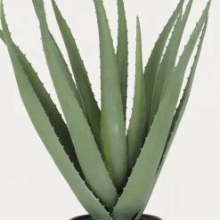Ligne Déco Plantes D'intérieur Et Fleurs D'intérieur Plante Verte Artificielle Succulente Aloe Vera En Pot, H.45cm -Parasols Soldes Magasin plante verte artificielle succulente aloe vera en pot h 45cm 2
