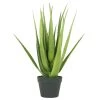 Ligne Déco Plantes D'intérieur Et Fleurs D'intérieur Plante Verte Artificielle Succulente Aloe Vera En Pot, H.60cm -Parasols Soldes Magasin plante verte artificielle succulente aloe vera en pot h 60cm